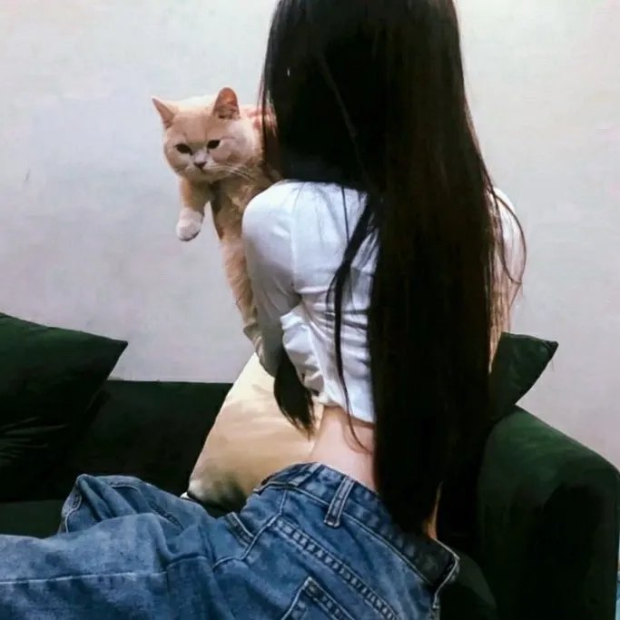 黑猩猩的世界